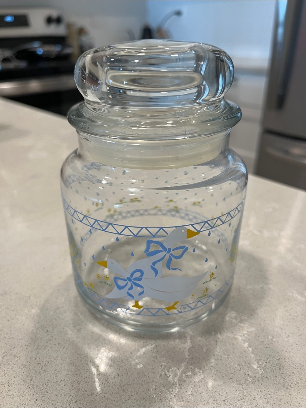 Vintage Anchor glass goose container